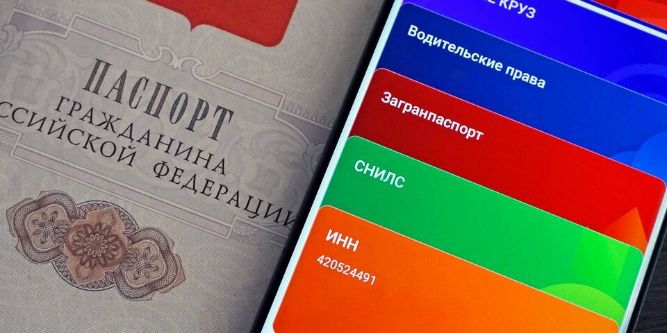 ИНН: что вводить при запросе номера