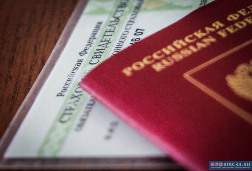 Как выглядит СНИЛС в 2025 году