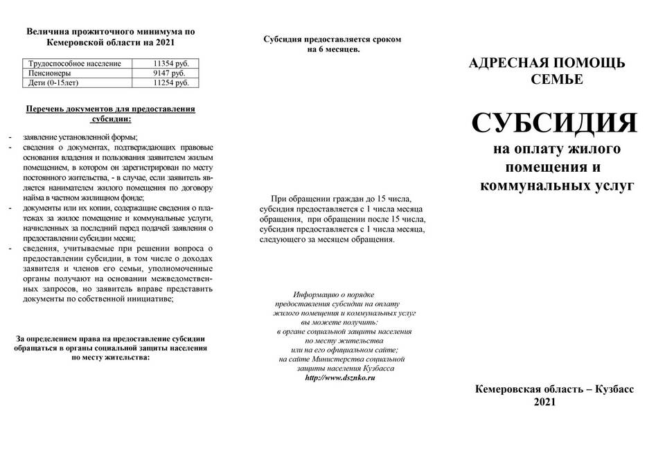 На что выдают субсидии: виды государственной поддержки