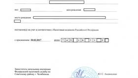 Что делать при утрате СНИЛС в Магнолия
