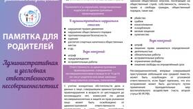 Что наказывается штрафом: основные нарушения и размеры взысканий в Магнолия