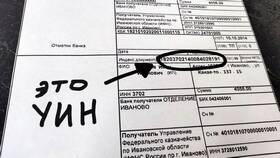 Что означает УИН в платежном поручении в Магнолия