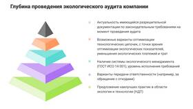 Что проверяют в ООО: основные аспекты контроля в Магнолия
