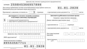 Что такое ИНН индивидуального предпринимателя