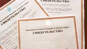 Что такое ИНН в электронном виде в Магнолия