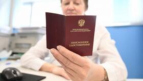 Что значит пенсионный коэффициент 29 в Магнолия
