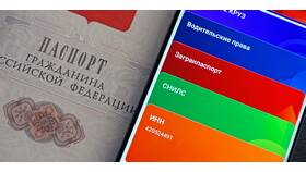 ИНН: что вводить при запросе номера в Магнолия