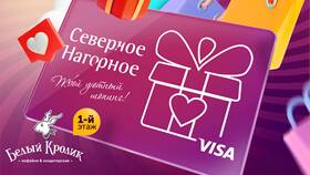 Как определить номинал подарочной карты DNS в Магнолия