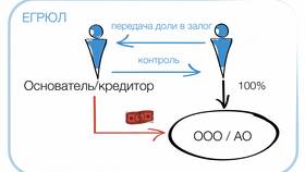 Как передать долю в ООО другому учредителю в Магнолия
