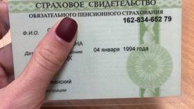 Как подтвердить номер СНИЛС в Магнолия