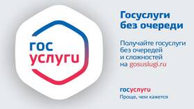 Как получить гражданство РФ через портал Госуслуги в Магнолия