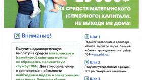Как посмотреть информацию о пенсии в личном кабинете ПФР в Магнолия