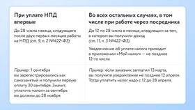 Как правильно оформить самозанятость в Магнолия