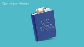 Как правильно прошить книгу доходов и расходов в Магнолия