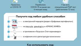 Как скачать и использовать приложение для сканирования QR-кодов в Магнолия