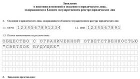 Как сменить основной ОКВЭД ООО в Магнолия