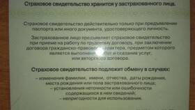 Как выглядит СНИЛС ребенка в Магнолия