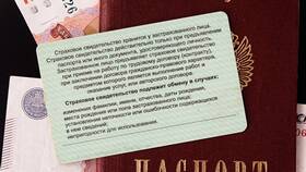 Как записаться на получение СНИЛС через Госуслуги в Магнолия