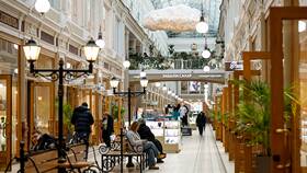 Количество магазинов Пятерочка в Санкт-Петербурге в Магнолия