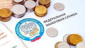 Налог на доходы 5%: что это в Магнолия