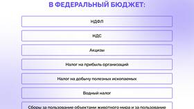 Зачем нужен подоходный налог в Магнолия