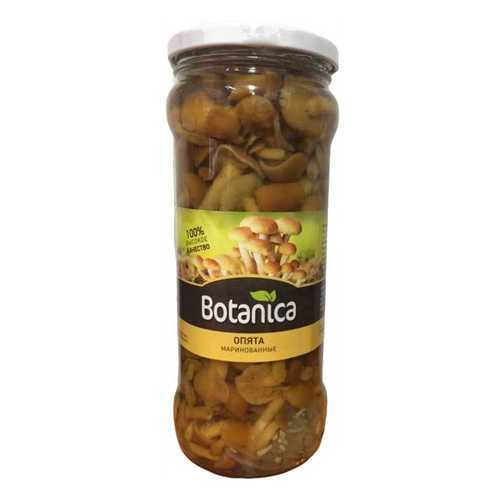 Грибы Botanica опята маринованные 370 мл в Магнолия