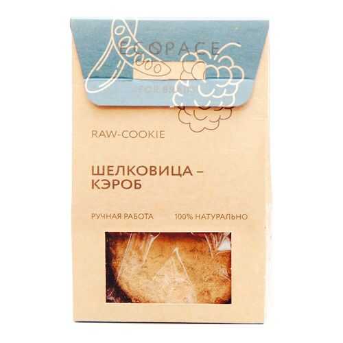 Печенье RAW Cookie For Brain шелковица-кэроб 55 г в Магнолия