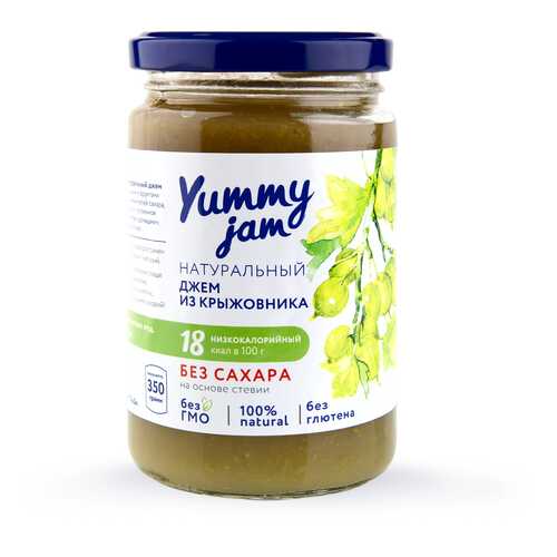 Джем Yummy jam из крыжовника без сахара 350 г в Магнолия