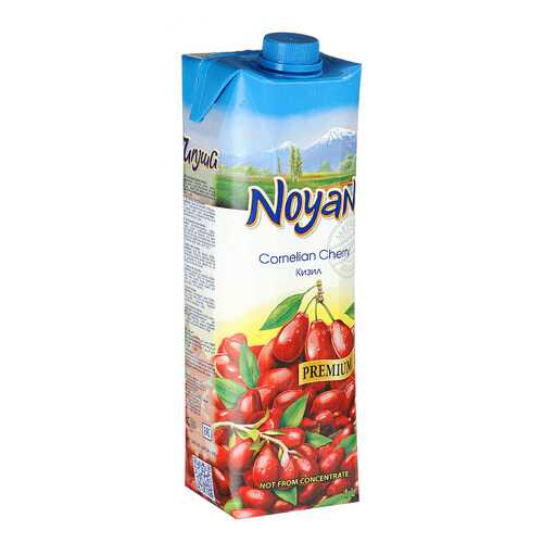 Кизиловый нектар Noyan premium 1л в Магнолия