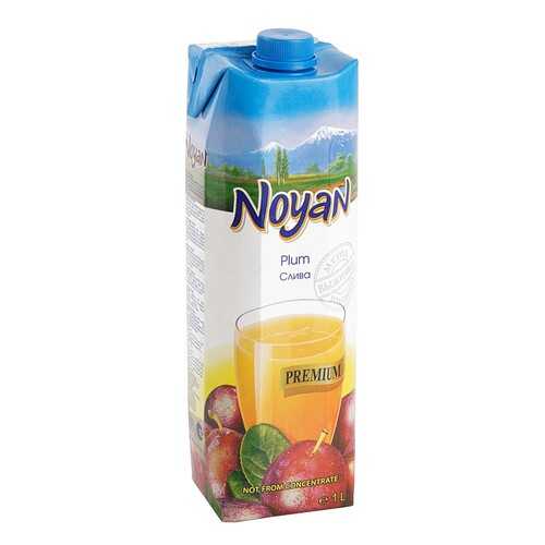 Сливовый нектар Noyan premium 1 л в Магнолия